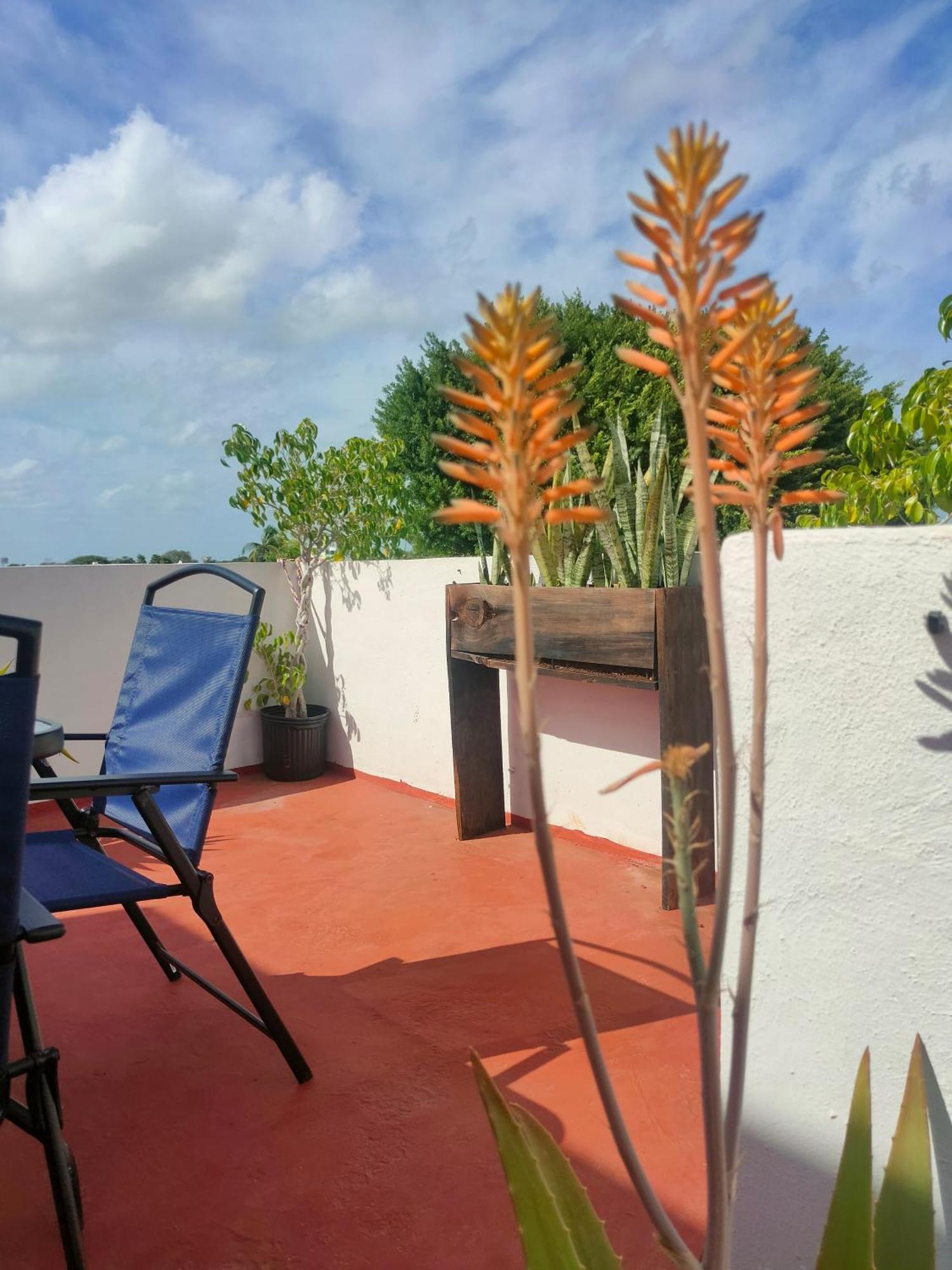 Casa Coraza Apartamento Cancún Exterior foto