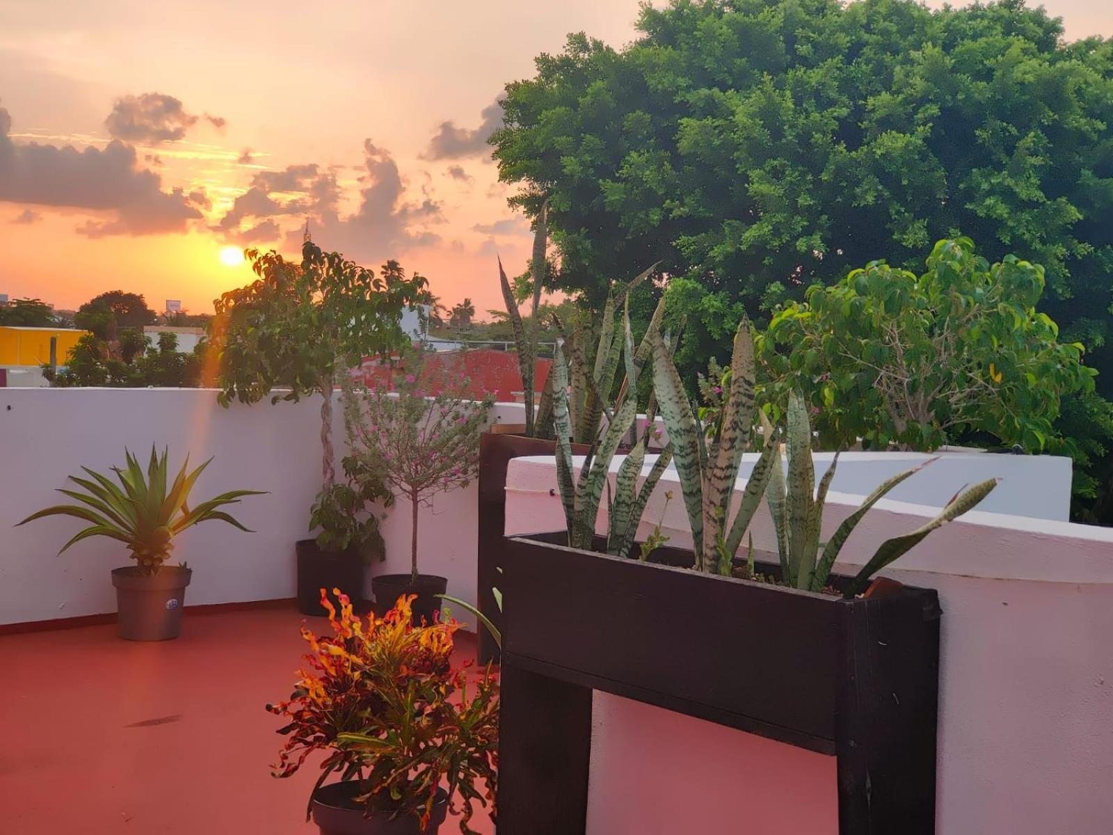 Casa Coraza Apartamento Cancún Exterior foto